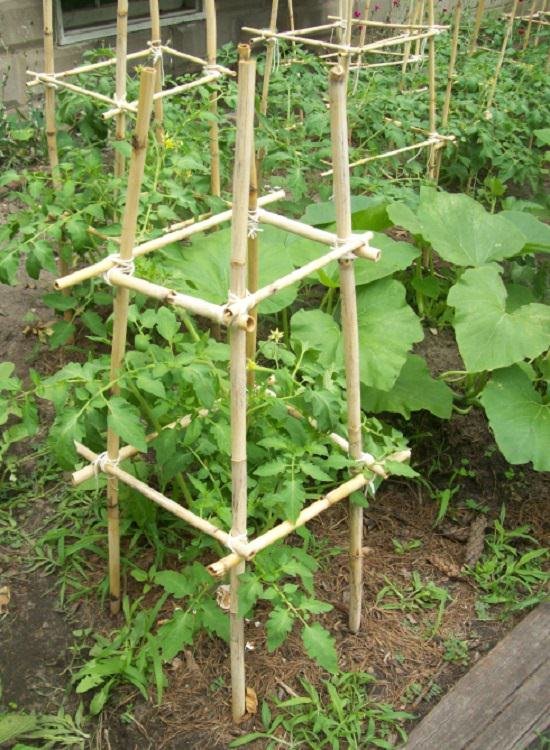 Ideas for the DIY cage and stake
