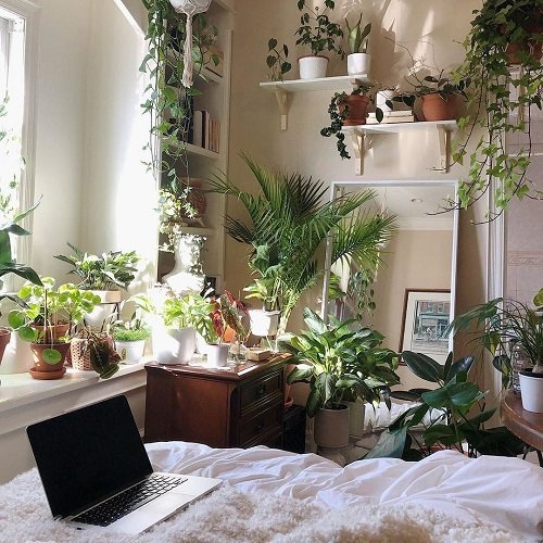 Small Nook A Mini Garden 30 Indoor Ideas