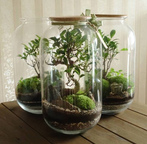10 ιδέες για ένα υπέροχο σκεπασμένο terrarium